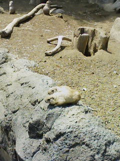 f0112873_23353270.jpg