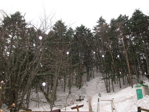 f0054075_12421392.jpg