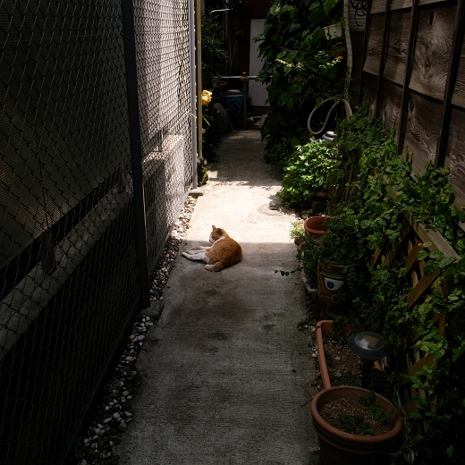 f0115475_20265712.jpg