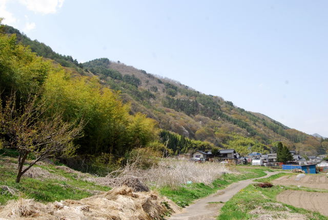 a0158478_15251027.jpg