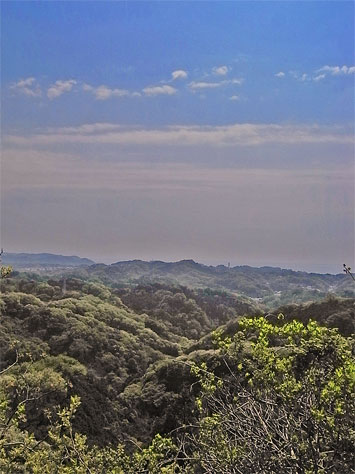 f0089079_23231130.jpg