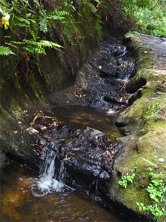 f0089079_23233813.jpg