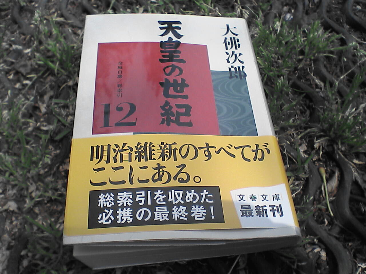c0069380_11235251.jpg