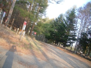 e0195583_20473297.jpg