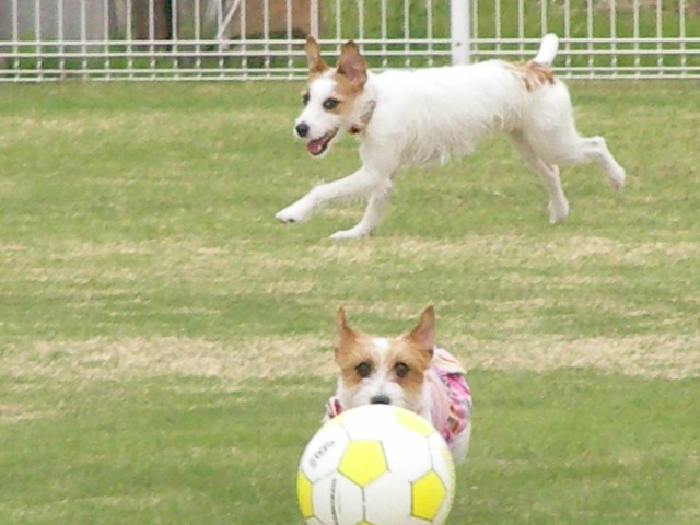 c0214384_14521180.jpg
