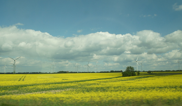 c0180686_16494020.jpg