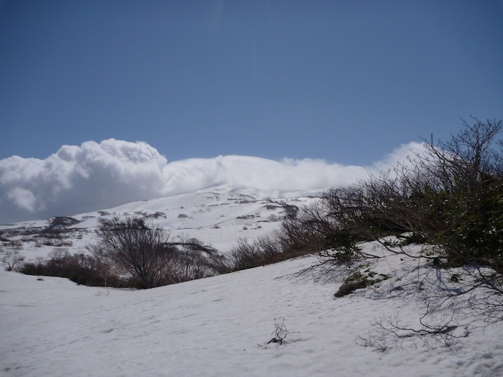 f0018388_20502621.jpg