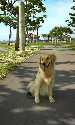 c0193396_18165920.jpg