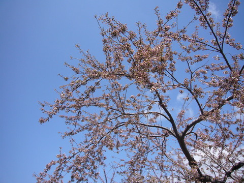 d0015096_21215744.jpg