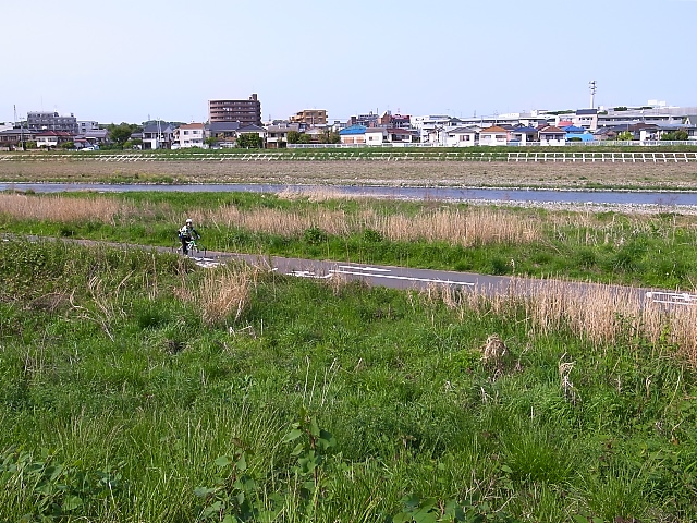 d0081997_6471831.jpg