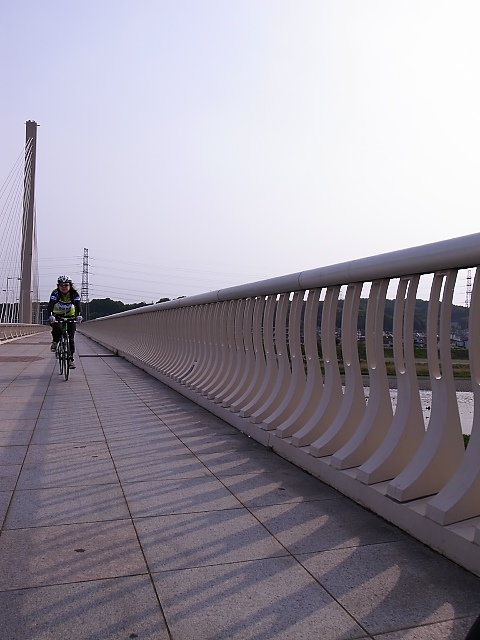 d0081997_652524.jpg