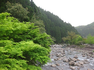 c0155198_1214938.jpg