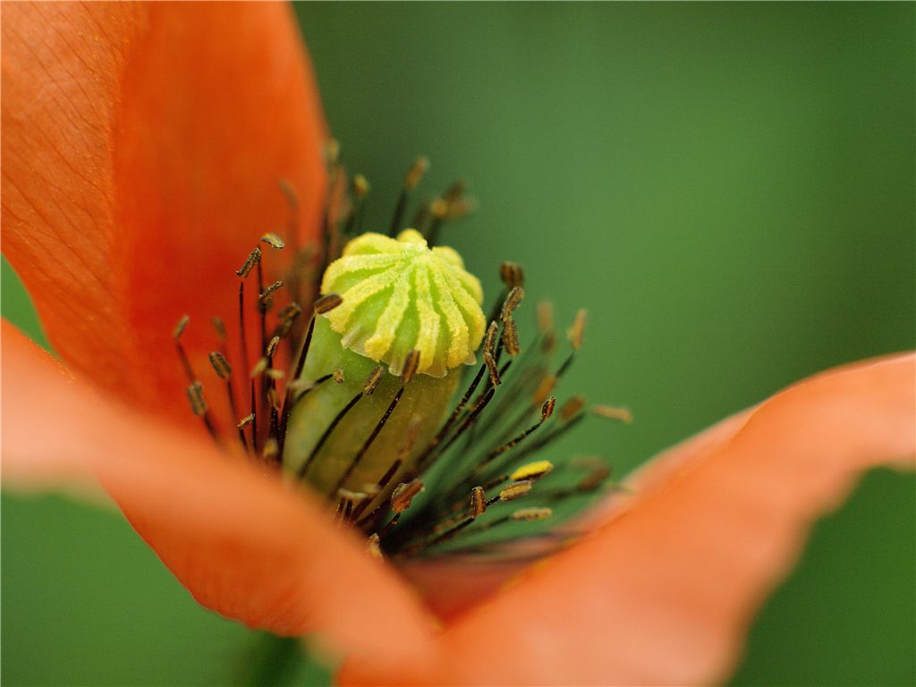 f0224100_23432338.jpg