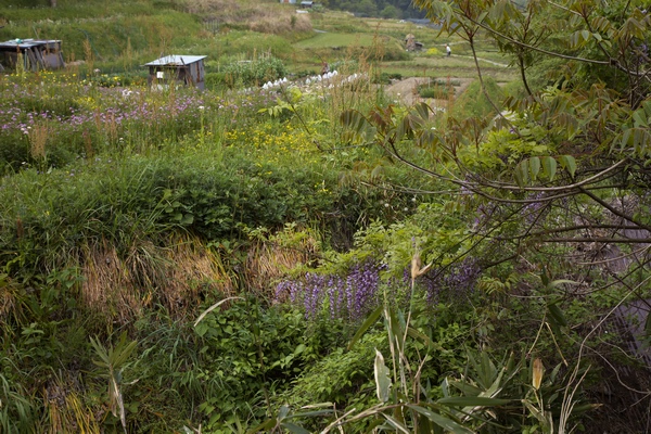 c0043403_22413696.jpg