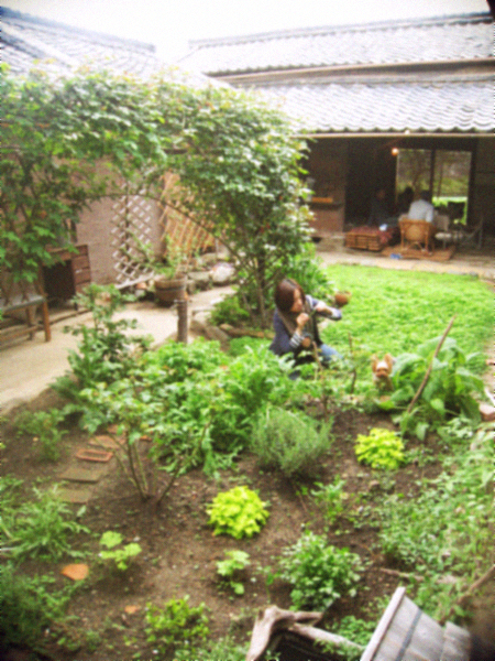 d0077603_10222865.jpg
