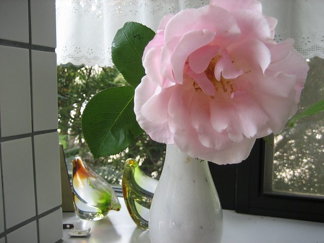 a0188405_2112115.jpg