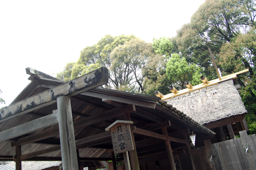 d0015006_13312051.jpg
