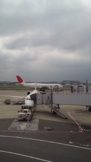 c0041207_11482881.jpg