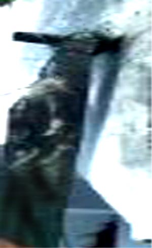 e0103408_144229.jpg