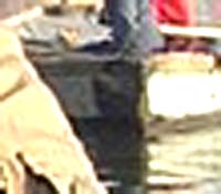 e0103408_15543451.jpg
