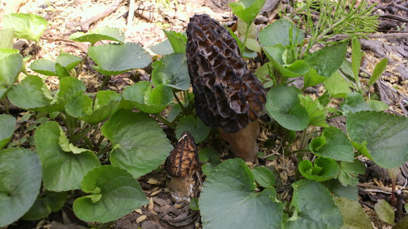 b0035611_18532878.jpg