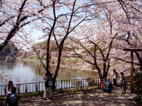 f0043911_18465311.jpg