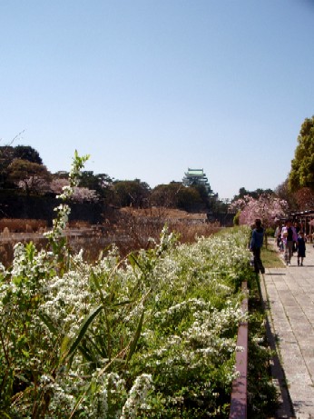 f0043911_1847279.jpg