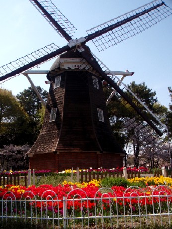 f0043911_18491337.jpg