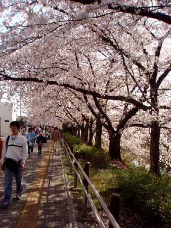f0043911_1853262.jpg