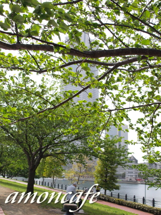 f0192411_0431636.jpg
