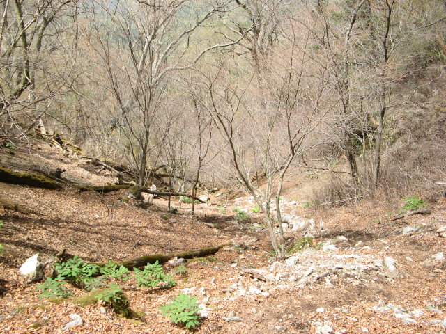 d0006512_17344742.jpg