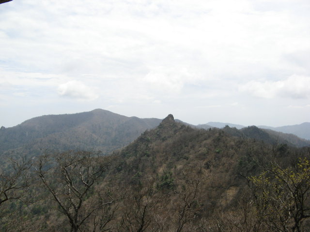 d0006512_1744745.jpg