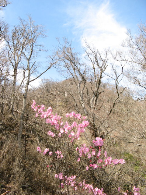 d0006512_17464966.jpg