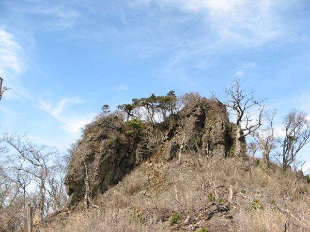 d0006512_17504269.jpg