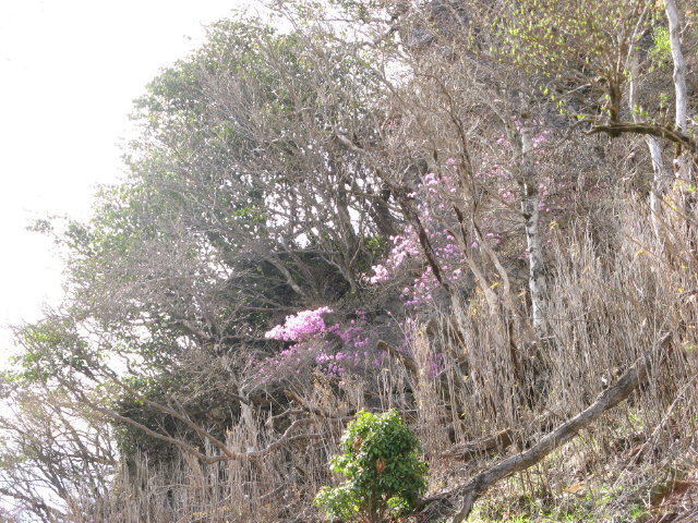 d0006512_17515028.jpg