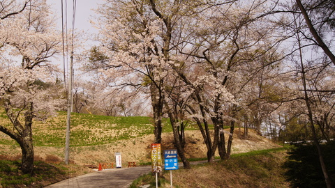 f0233414_23105078.jpg