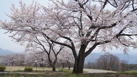 f0233414_2314482.jpg