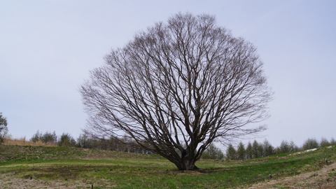 f0233414_2318767.jpg