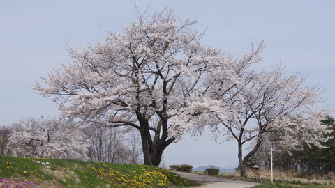 f0233414_2324632.jpg