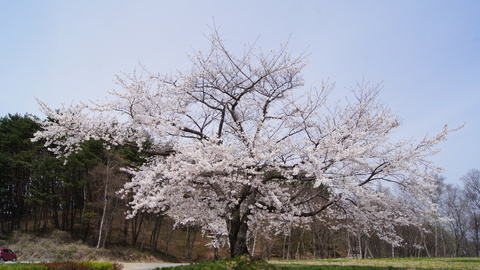 f0233414_2325388.jpg