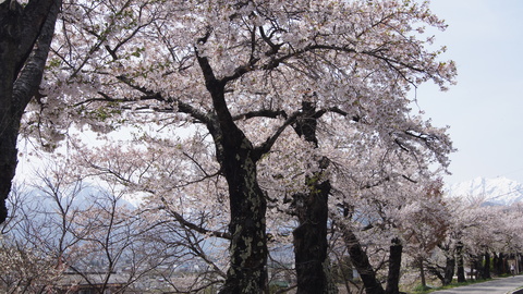 f0233414_23324047.jpg