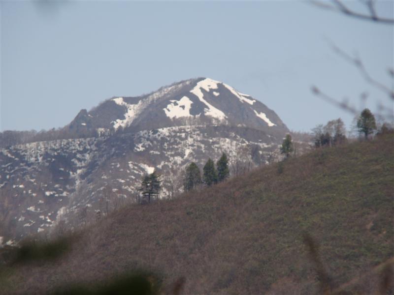 a0127015_203746.jpg