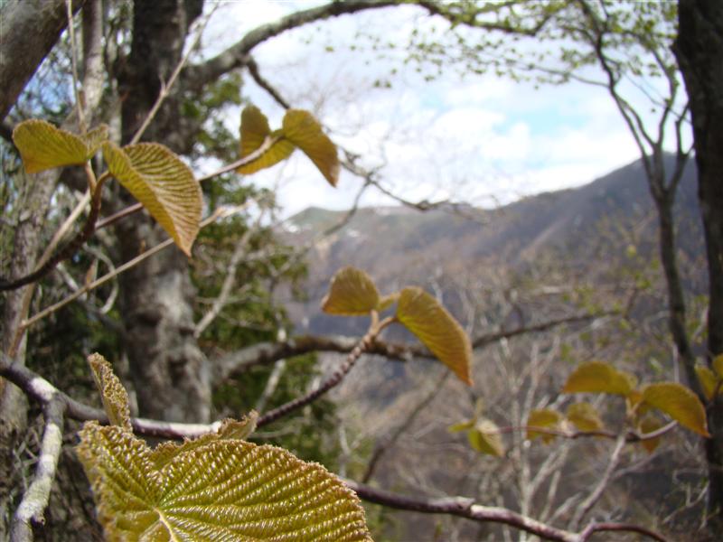 a0127015_204257.jpg