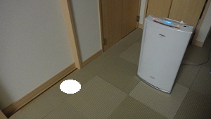 b0197418_1991183.jpg