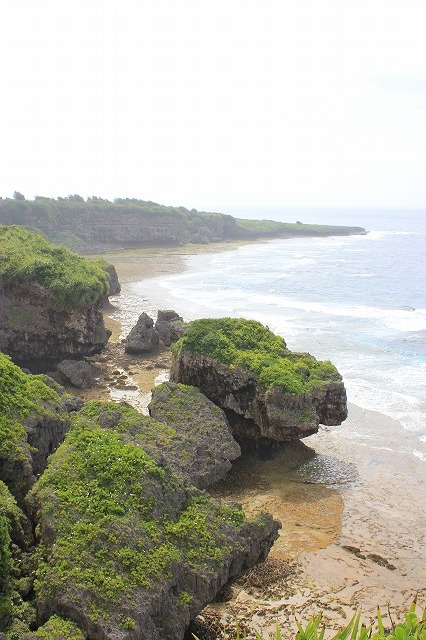 d0225318_9222799.jpg