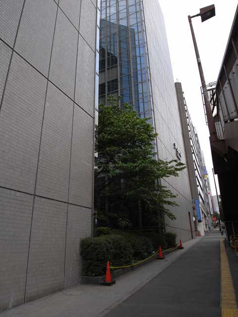 e0049318_153576.jpg
