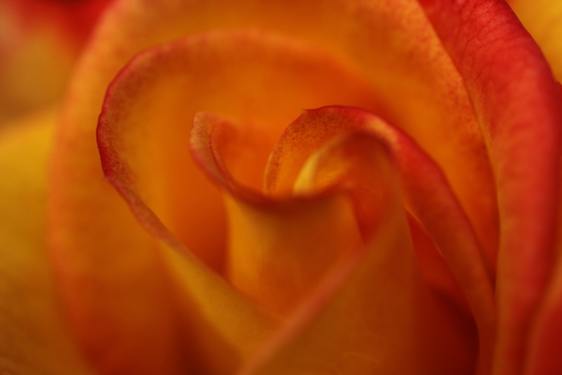 b0165522_653344.jpg