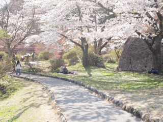 d0068023_22435646.jpg