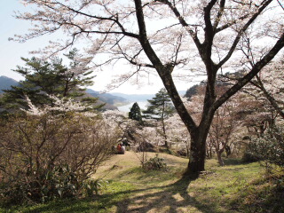 d0068023_22491548.jpg