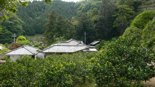 f0060424_13141152.jpg